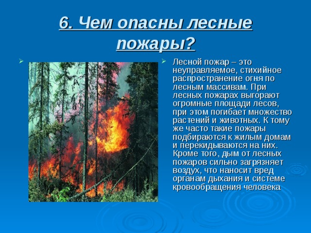 6. Чем опасны лесные пожары?