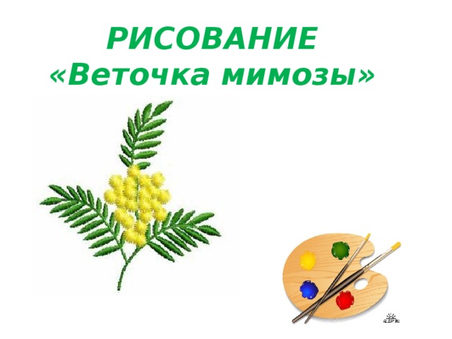 РИСОВАНИЕ  «Веточка мимозы»