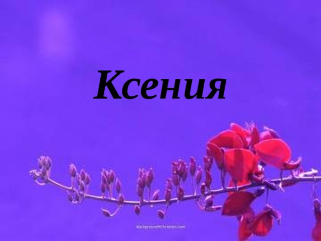 Ксения