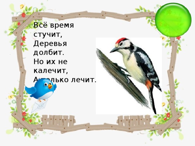 Всё время стучит,  Деревья долбит.  Но их не калечит,  А только лечит.