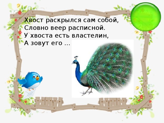 Хвост раскрылся сам собой, Словно веер расписной. У хвоста есть властелин, А зовут его …