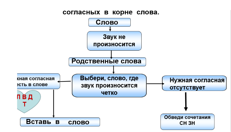 Корень слова водитель