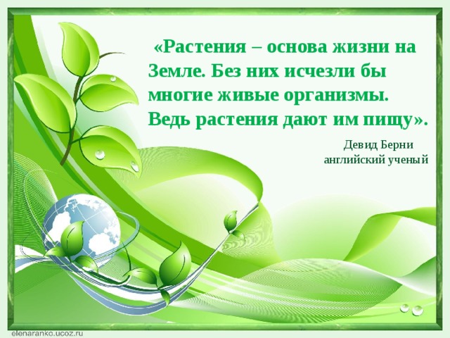 «Растения – основа жизни на Земле. Без них исчезли бы многие живые организмы. Ведь растения дают им пищу».  Девид Берни английский ученый