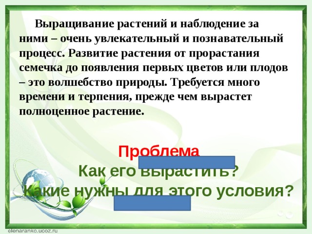 Выращивание растений и наблюдение за ними – очень увлекательный и познавательный процесс. Развитие растения от прорастания семечка до появления первых цветов или плодов – это волшебство природы. Требуется много времени и терпения, прежде чем вырастет полноценное растение. Проблема  Как его вырастить?  Какие нужны для этого условия?