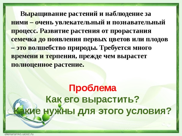 Выращивание растений и наблюдение за ними – очень увлекательный и познавательный процесс. Развитие растения от прорастания семечка до появления первых цветов или плодов – это волшебство природы. Требуется много времени и терпения, прежде чем вырастет полноценное растение. Проблема  Как его вырастить?  Какие нужны для этого условия?