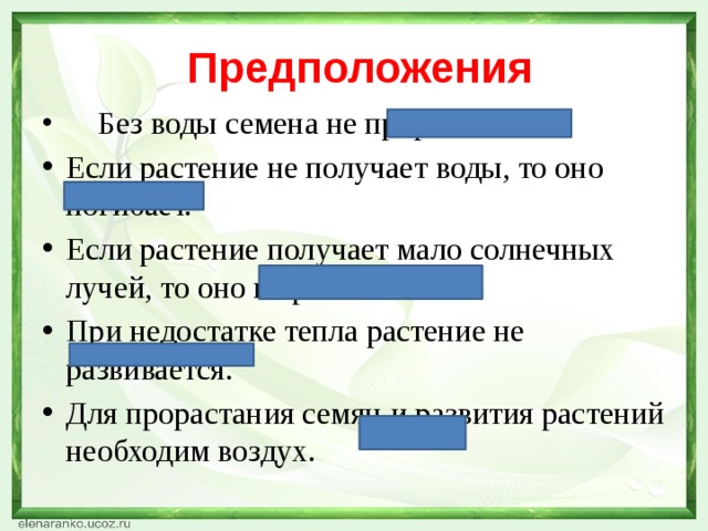 Предположения