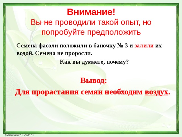 Внимание!  Вы не проводили такой опыт, но попробуйте предположить  Семена фасоли положили в баночку № 3 и залили их водой. Семена не проросли.  Как вы думаете, почему?  Вывод: Для прорастания семян необходим воздух .