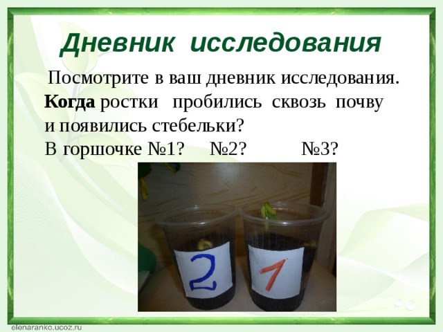 Дневник исследования  Посмотрите в ваш дневник исследования. Когда ростки пробились сквозь почву и появились стебельки? В горшочке №1? №2? №3?