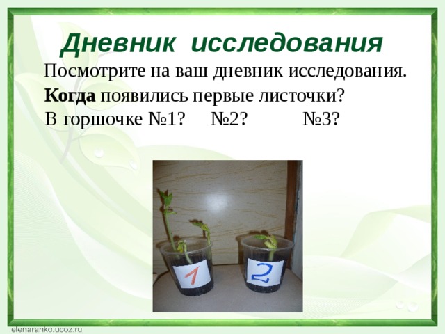 Дневник исследования  Посмотрите на ваш дневник исследования. Когда появились первые листочки? В горшочке №1? №2? №3?