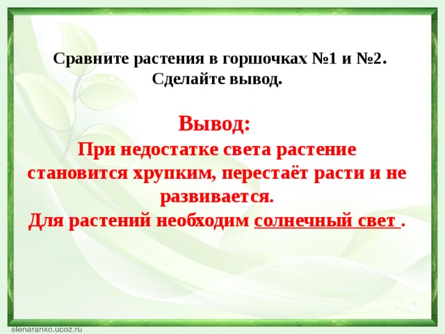 Сравните растения в горшочках №1 и №2. Сделайте вывод.  Вывод: При недостатке света растение становится хрупким, перестаёт расти и не развивается. Для растений необходим солнечный свет .