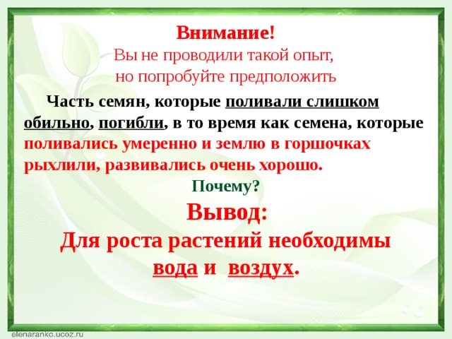 Внимание! Вы не проводили такой опыт, но попробуйте предположить  Часть семян, которые поливали слишком обильно , погибли , в то время как семена, которые поливались умеренно и  землю в горшочках рыхлили, развивались очень хорошо. Почему?  Вывод: Для роста растений необходимы  вода и воздух .