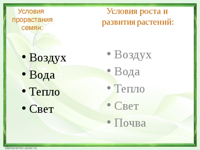 Условия роста и развития  растений:  Условия  прорастания  семян: