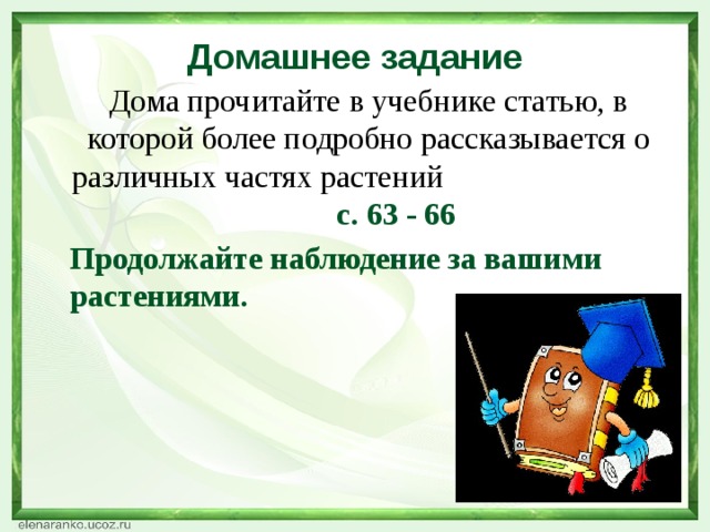 Домашнее задание  Дома прочитайте в учебнике статью, в которой более подробно рассказывается о различных частях растений с. 63 - 66  Продолжайте наблюдение за вашими растениями.