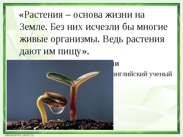 «Растения – основа жизни на Земле. Без них исчезли бы многие живые организмы. Ведь растения дают им пищу».        Девид Берни английский ученый