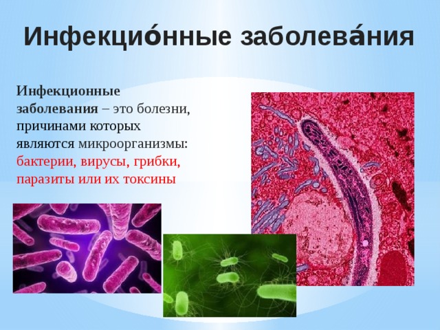 Инфекцио́нные заболева́ния Инфекционные заболевания – это болезни, причинами которых являются микроорганизмы: бактерии, вирусы, грибки, паразиты или их токсины