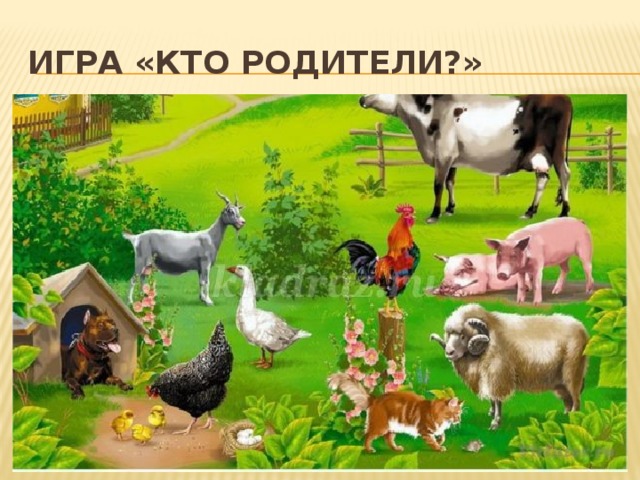 Игра «Кто родители?»