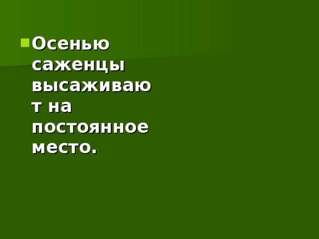 Осенью саженцы высаживают на постоянное место.