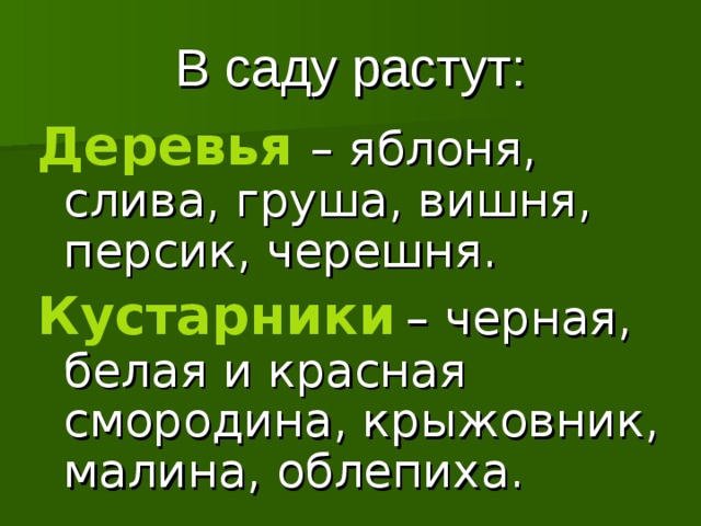 В саду растут: Деревья  – яблоня, слива, груша, вишня, персик, черешня. Кустарники  – черная, белая и красная смородина, крыжовник, малина, облепиха.