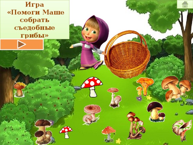Маши решила посчитать все собранные грибы. Маша и медведь собирают ягоды. Маша собирает грибы и ягоды. Игра помоги маше собирать грибы. Маша и медведь собирают грибы.