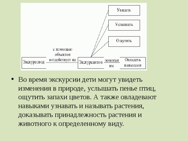 Во время экскурсии дети могут увидеть изменения в природе, услышать пенье птиц, ощутить запахи цветов. А также овладевают навыками узнавать и называть растения, доказывать принадлежность растения и животного к определенному виду.