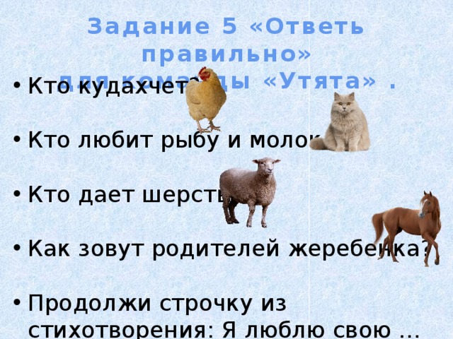 Задание 5 «Ответь правильно» для команды «Утята» .