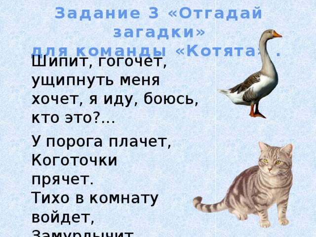 Задание 3 «Отгадай загадки» для команды «Котята» . Шипит, гогочет, ущипнуть меня хочет, я иду, боюсь, кто это?... У порога плачет,  Коготочки прячет.  Тихо в комнату войдет,  Замурлычит, запоёт.