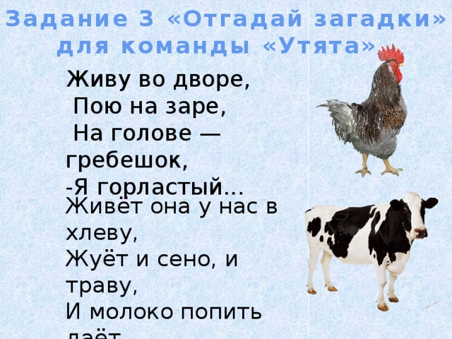 Задание 3 «Отгадай загадки» для команды «Утята» . Живу во дворе,  Пою на заре,  На голове — гребешок, -Я горластый... Живёт она у нас в хлеву,  Жуёт и сено, и траву,  И молоко попить даёт.  Так кто её мне назовёт?