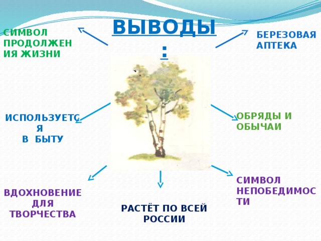 ВЫВОДЫ: CИМВОЛ ПРОДОЛЖЕНИЯ ЖИЗНИ БЕРЕЗОВАЯ АПТЕКА  ОБРЯДЫ И ОБЫЧАИ     СИМВОЛ НЕПОБЕДИМОСТИ ИСПОЛЬЗУЕТСЯ В БЫТУ     ВДОХНОВЕНИЕ ДЛЯ ТВОРЧЕСТВА РАСТЁТ ПО ВСЕЙ РОССИИ