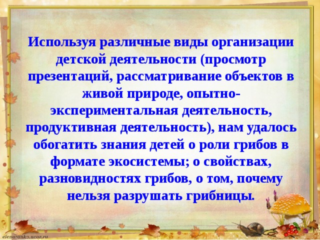 Используя различные виды организации детской деятельности (просмотр презентаций, рассматривание объектов в живой природе, опытно-экспериментальная деятельность, продуктивная деятельность), нам удалось обогатить знания детей о роли грибов в формате экосистемы; о свойствах, разновидностях грибов, о том, почему нельзя разрушать грибницы.