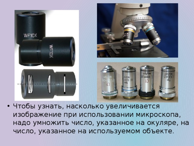 Окуляр микроскопа 100 кратный. Увеличение окуляра и объектива у микроскопа.
