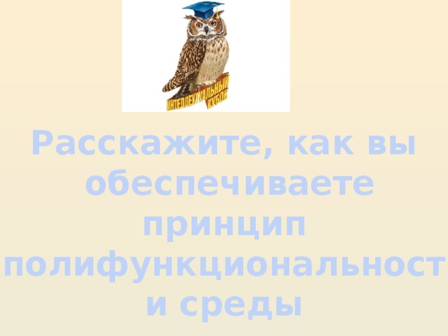 Расскажите, как вы  обеспечиваете принцип полифункциональности среды в группе на примере центра фактивности?