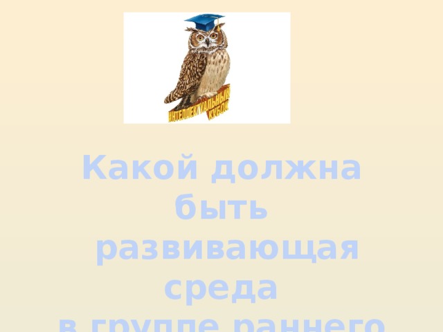 Какой должна быть  развивающая среда в группе раннего возраста?
