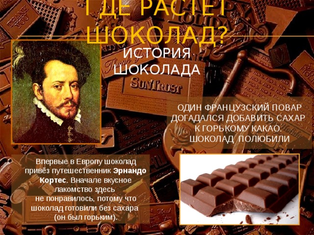 ГДЕ РАСТёТ ШОКОЛАД? ИСТОРИЯ ШОКОЛАДА Один французский повар догадался добавить сахар к горькому какао.  шоколад полюбили Впервые в Европу шоколад привёз путешественник Эрнандо Кортес . Вначале вкусное лакомство здесь не понравилось, потому что шоколад готовили без сахара (он был горьким).