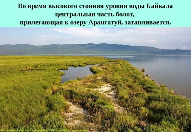 Во время высокого стояния уровня воды Байкала центральная часть болот,  прилегающая к озеру Арангатуй, затапливается.