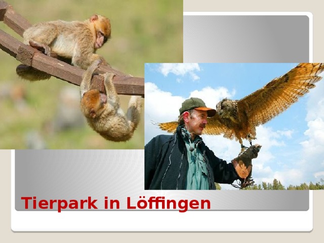 Tierpark in Löffingen