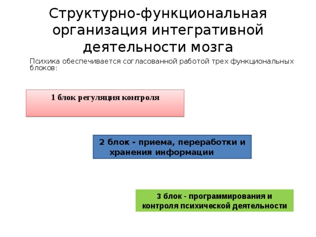 Структурно-функциональная организация интегративной деятельности мозга  Психика обеспечивается согласованной работой трех функциональных блоков: 1 блок регуляция контроля 2 блок - приема, переработки и хранения информации  3 блок - программирования и контроля психической деятельности