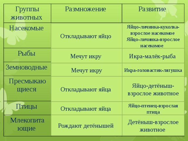 Размножение и развитие птиц презентация 7 класс пономарева