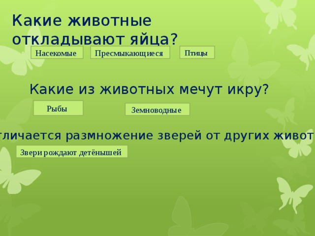 Какие животные откладывают яйца?     Насекомые Пресмыкающиеся Птицы Какие из животных мечут икру? Рыбы Земноводные Чем отличается размножение зверей от других животных? Звери рождают детёнышей