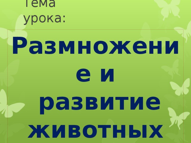 Тема урока:   Размножение и  развитие животных