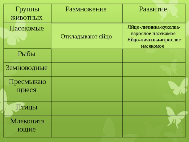 Процессы размножения и развития животных презентация 7 класс