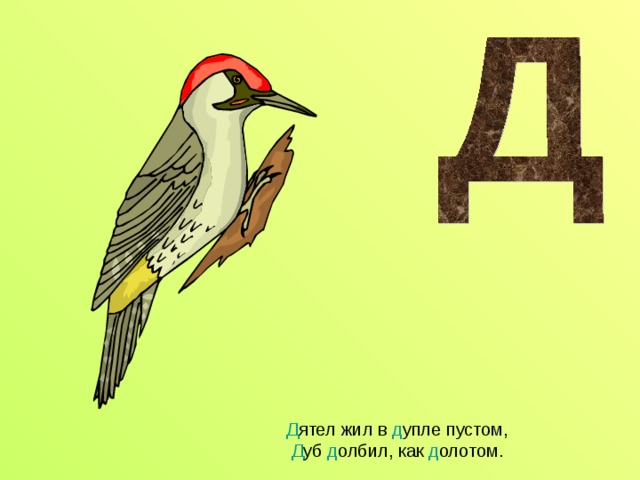 Д ятел жил в д упле пустом,  Д уб д олбил, как д олотом.