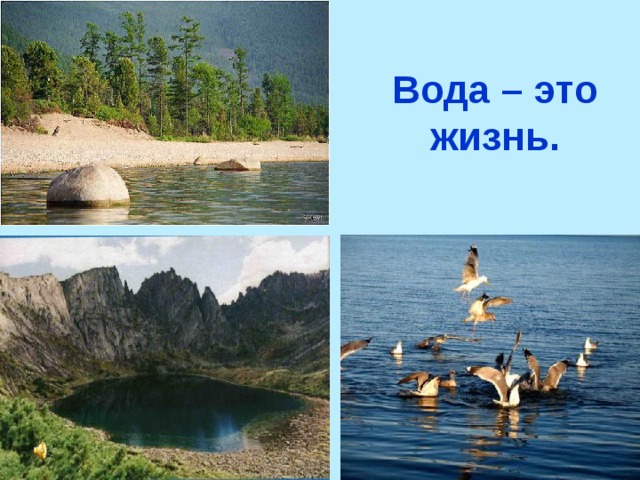 Вода – это жизнь.