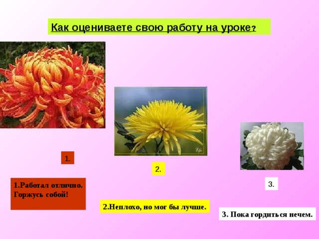 Как оцениваете свою работу на уроке ?  1. 2. 3. 1.Работал отлично. Горжусь собой!  2.Неплохо, но мог бы лучше. 3. Пока гордиться нечем. 17