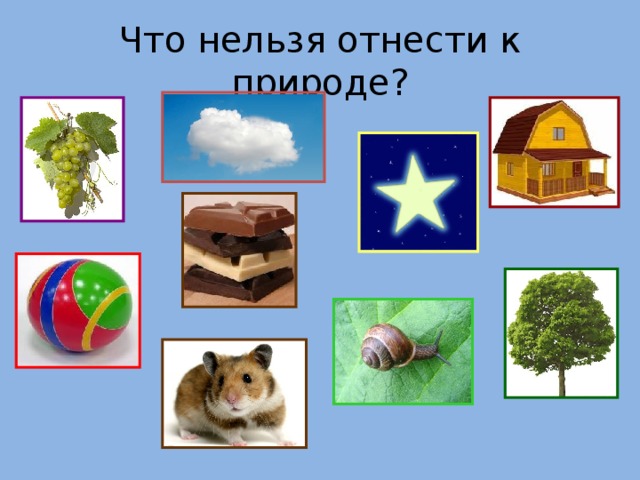 Что нельзя отнести к природе?