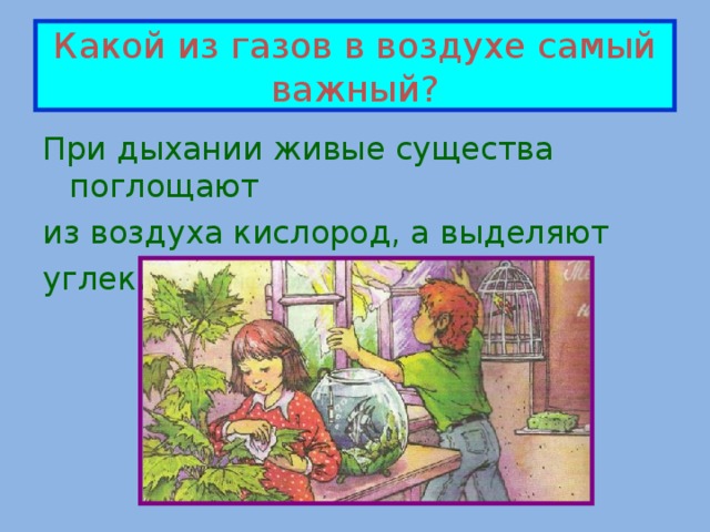 Какой из газов в воздухе самый важный? При дыхании живые существа поглощают из воздуха кислород, а выделяют углекислый газ.