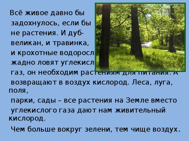 Всё живое давно бы  задохнулось, если бы  не растения. И дуб-  великан, и травинка,  и крохотные водоросли  жадно ловят углекислый  газ, он необходим растениям для питания. А  возвращают в воздух кислород. Леса, луга, поля,  парки, сады – все растения на Земле вместо  углекислого газа дают нам живительный кислород.  Чем больше вокруг зелени, тем чище воздух .