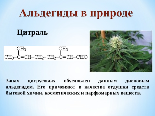 Цитраль Запах цитрусовых обусловлен данным диеновым альдегидом. Его применяют в качестве отдушки средств бытовой химии, косметических и парфюмерных веществ.