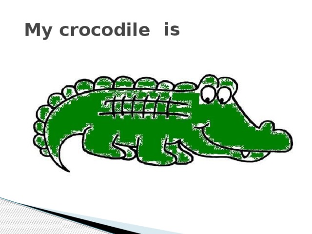 is My crocodile