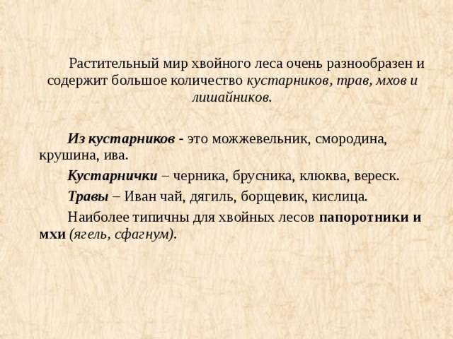 Растительный мир хвойного леса очень разнообразен и содержит большое количество кустарников, трав, мхов и лишайников.   Из кустарников - это можжевельник, смородина, крушина, ива.   Кустарнички – черника, брусника, клюква, вереск.   Травы – Иван чай, дягиль, борщевик, кислица.   Наиболее типичны для хвойных лесов папоротники и мхи (ягель, сфагнум).