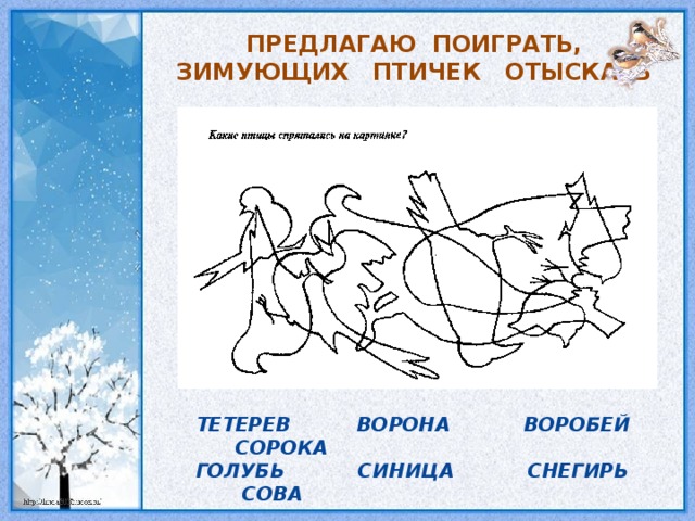 ПРЕДЛАГАЮ ПОИГРАТЬ, ЗИМУЮЩИХ ПТИЧЕК ОТЫСКАТЬ ТЕТЕРЕВ ВОРОНА ВОРОБЕЙ СОРОКА ГОЛУБЬ СИНИЦА СНЕГИРЬ СОВА